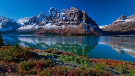 glorious lake landscape - reflections, shore, lake, flwers, mountain