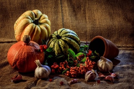 * Pumpkins * - food, vegetables, nature, pumpkins