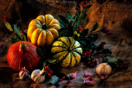 * Pumpkins * - food, nature, pumpkins, autumn harvest