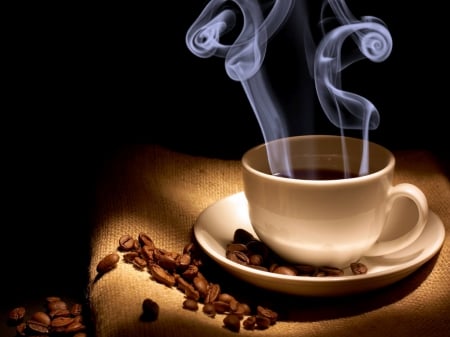 JAVA - steam, beans, coffee, saucer, cup