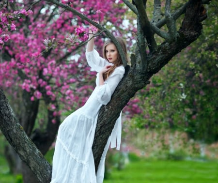 Beauty - beauty, abstract, lady, tree, model