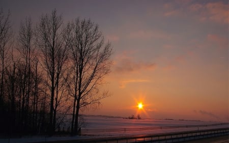 Sun in the evening winter - multicolor, scenery, brown, scene, snow, sunrise, pink, path, widescreen, trunks, nice, maroon, road, colors, fence, frozen, sunset, brightness, yellow, blue, amazing, evening, landscape, photo, dawn, purple, view, twilight, violet, sky, sun, clouds, branches, iolet, trees, winter, image, beautiful, photography, scenic, cool, orange, afternoon, colorful, awesome, bright, panorama, cold