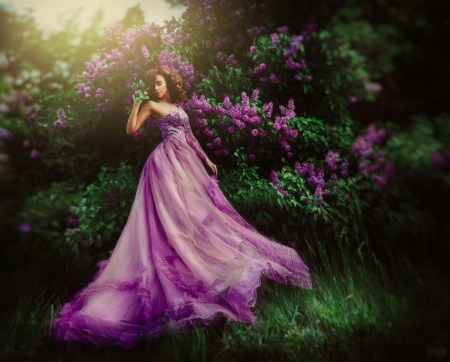 Purple Beauty - beauty, purple, flowers, lady