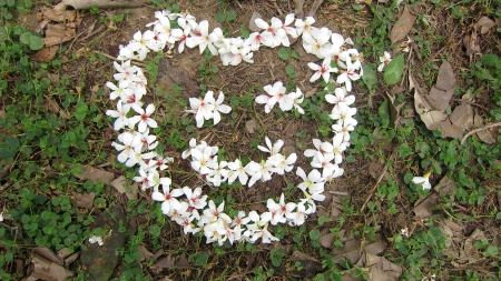 Smiley face - love, smiley face, heart, soulmate, tung blossom, flower