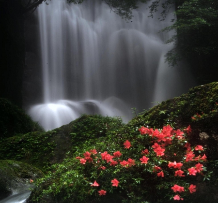 Water waltz - nice, beauiful, colors, flowers, waterfall