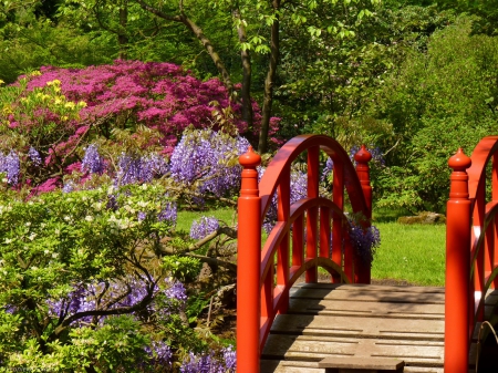 The red bridge in the gapanese garden - freshness, trees, park, summer, japanese, lovely, plants, creek, nature, forest, red, beautiful, river, flowers, bridge, garden