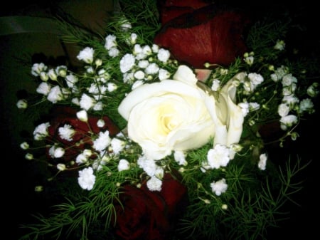 Roses just for my friends - white, nature, roses, red, flowers, bouquet