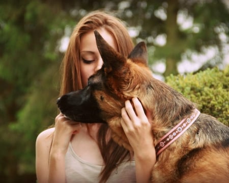 Love and loyalty - woman, love, pet, dog