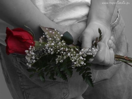 Keep me by the hand. - romantic moment, for you, gift of love, red rose