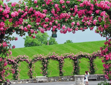 Great Rose Garden Arbour - nature, garden, arbour, roses