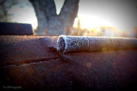 Frost on the BBQ - metal, texas, frost, bbq, rust