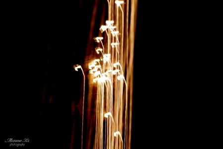 Streaking Lights - movement, christmas, lights, photography