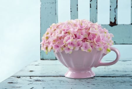 * Pink hydrangea * - nature, flowers, flower, pink