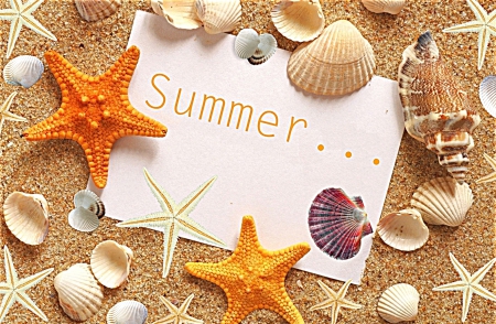 Summer - shell, starfish, Summer, shells, seashell, starfishes, seashells, sand