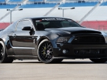 2013-Ford-Mustang-Gt500