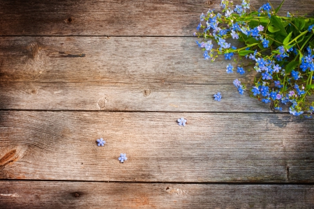 * Not forget ...* - flowers, flower, nature, blue