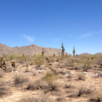 AZ White Tank Mountain Park