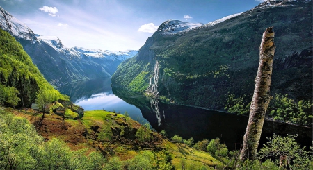 The Green Fjord - trees, Norway, beautiful, snowy peaks, grass, forest, fjord, mountain house, cliff