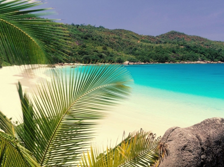 Summer Beach, Jeju Island - hill, white sand, beautiful, palm trees, South Korea, island, sea, emerald