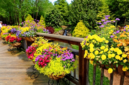 Garden flowers - pretty, summer, forest, walk, flowers, pote, porch, scent, view, trees, beautiful, fragrance, lovely, freshness, fence, colorful, park