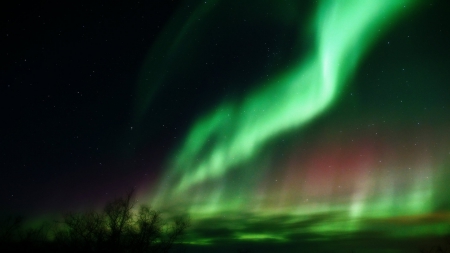 northern lights - wp, northern, lights, sky