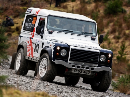 Land Rover Defender - offroad, thrill, 4x4, rally