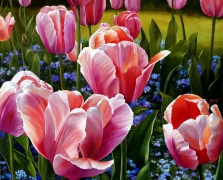 Spring Flowers - garden, blossoms, tulips, colors