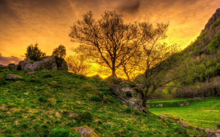 Countryside Sunset - sky, trees, colors, landscape