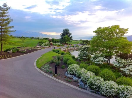 Garden at dusk - flowers, trees, garden, dusk, grass, golf