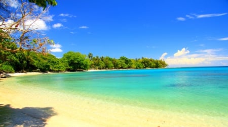 Visale Beach, Solomon Islands - palm trees, beach, white sand, paradise, emerald water, beautiful, tropical, guadalcanal