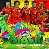 BELGIUM WORLD CUP 2014 WALLPAPER