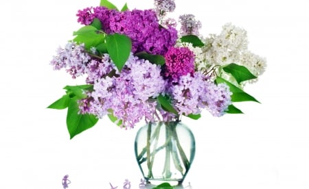 * Sweet lilacs *