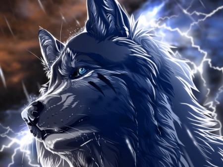 Wolf Rain