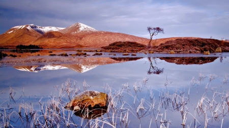 lovely lakescape - hills, shore, weeds, lake, reflection, rocks