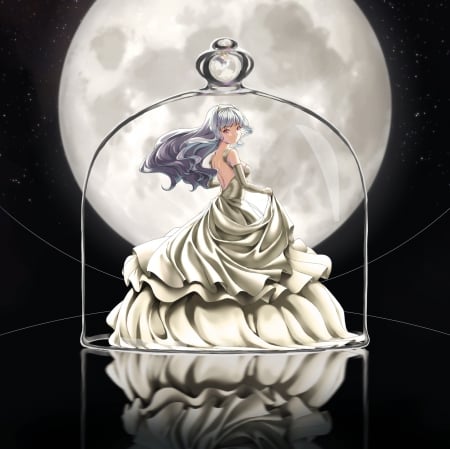 Moon Jar - gown, beauty, beautiful, anime, anime girl, girl, hd, dress, jar, long hair, reflection, moon, female, trap, inside