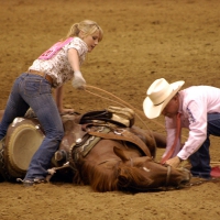 Rodeo Cowgirl