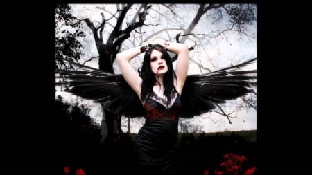 Hollow Eyes - dark angel, fantasy, gothic, black wings