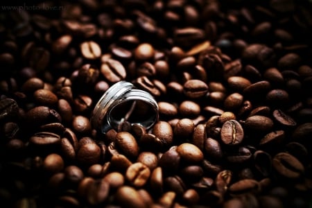 Coffee Beans - ring, coffee bean, coffee beans, beans, rings, coffee