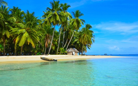 * Blue ocean * - palms, nature, water, ocean