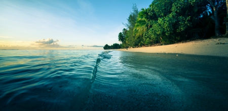 Quiet Morning Beach - clouds, trees, blue, beautiful, green, palm trees, ocean, sand