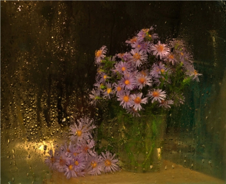 Still life - pink, flowers, still life, painting, nature