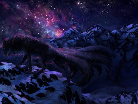 Fantasy Wolf - tail, wolf, fantasy, starry, beautiful, night, snow