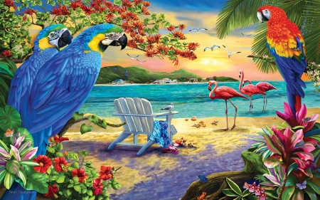 Parrots Island