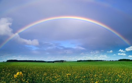 A rainbow - day, cloudy, blue, sky