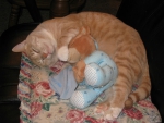 Isabella napping with teddy bear