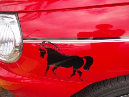 Black horse red car - black horse, like, photography, free wallpaer, cool, horse, decal, black, red, shellandshilo, sticker, wallpaper