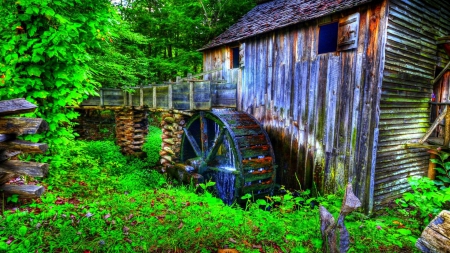 lovely old watermill hdr - forest, water, mill, wheel, hdr