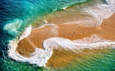 BEAUTIFUL WAVES - splendo, landscape, ocean, wave, island, sea, nature, waves, birds, paradise