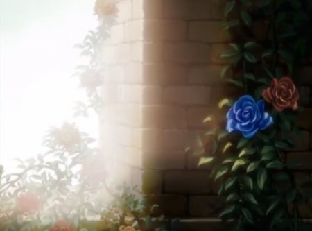 BP: The Scene - beauty, nice, roses, rose, bloodplus, blood plus, dark, pretty, anime, scene, light, lovely, blue rose, floral, wall, beautiful, blossom, sweet, flower, red rose