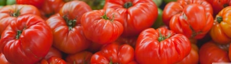 Tomatoes - hd, nature, abstract, tomatoes, yellow, red, photography